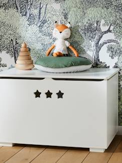 Coffre de rangement SIRIUS  - vertbaudet enfant