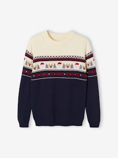 -Pull jacquard de Noël adulte capsule famille