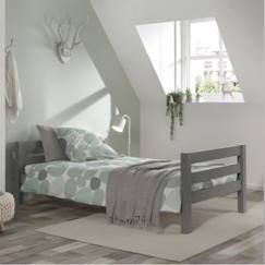 Chambre et rangement-Chambre-Lit avec sommier en pin massif gris 90x200 Armance & Faustin