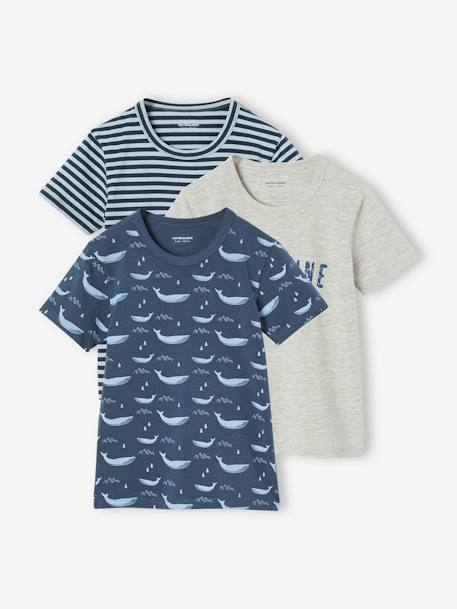 Garçon-Lot de 3 t-shirts "Baleine" garçon manches courtes