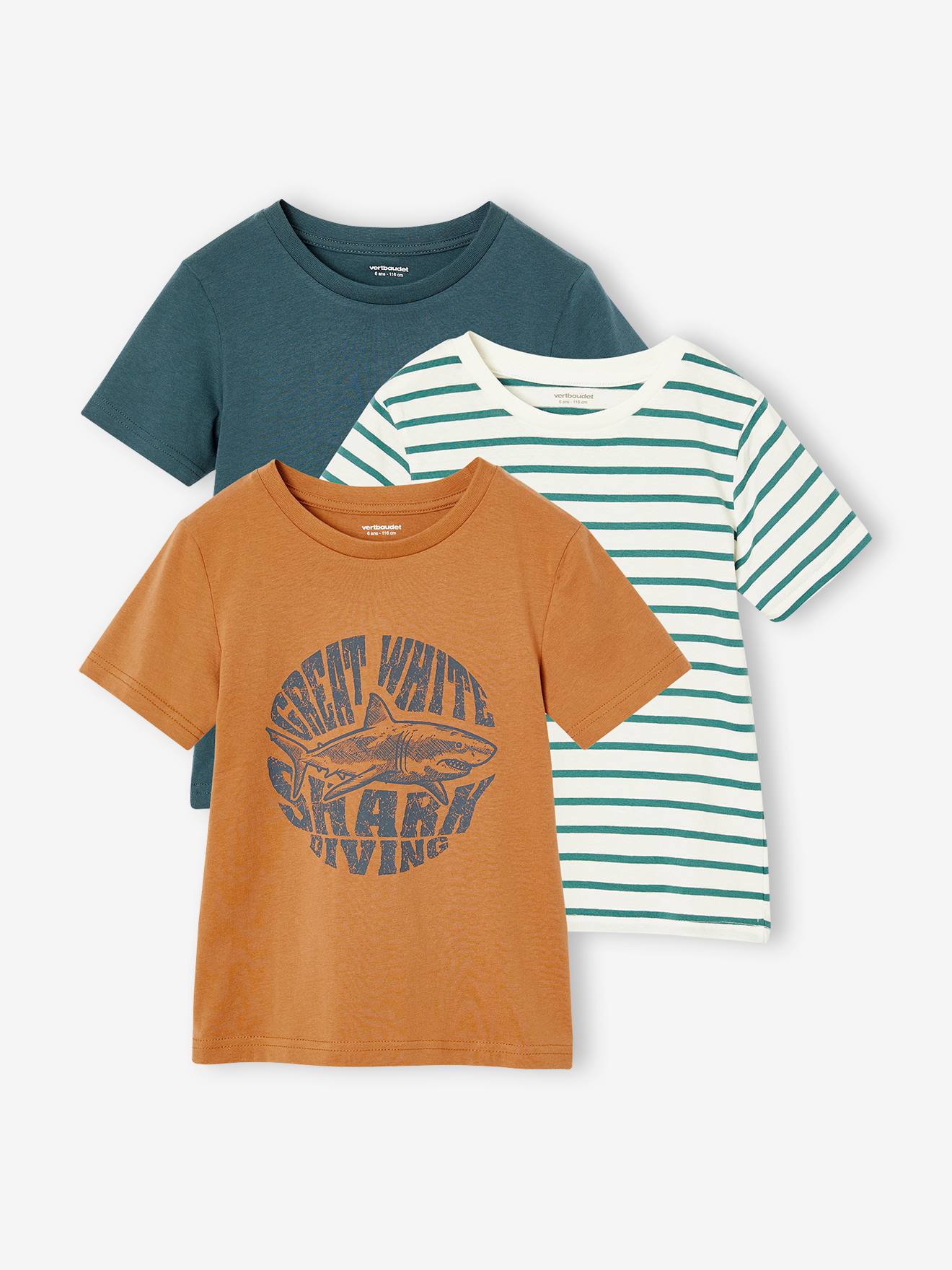 Lot de 3 t-shirts garçon manches courtes noix de pécan