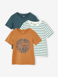 -Lot de 3 t-shirts garçon manches courtes