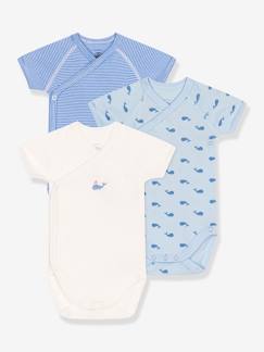 -Lot de 3 bodies croisés manches courtes bébé PETIT BATEAU