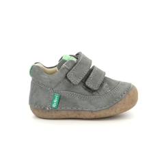 -KICKERS Bottillons Sostankro gris