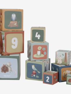 Jouet-Premier âge-Premières manipulations-Cubes à empiler en carton -