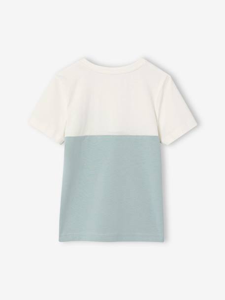 T-shirt garçon coloblock manches courtes ardoise+menthe+orange+vert anglais 12 - vertbaudet enfant 