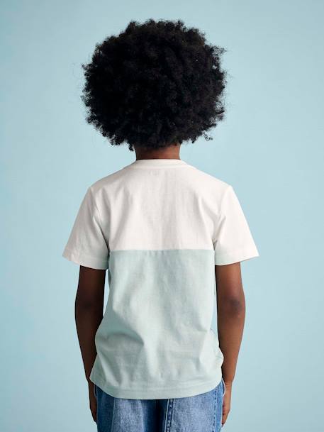 T-shirt garçon coloblock manches courtes ardoise+menthe+orange+vert anglais 14 - vertbaudet enfant 