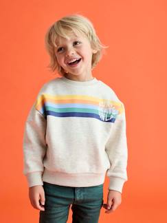 Sweat garçon col rond rayures graphiques  - vertbaudet enfant
