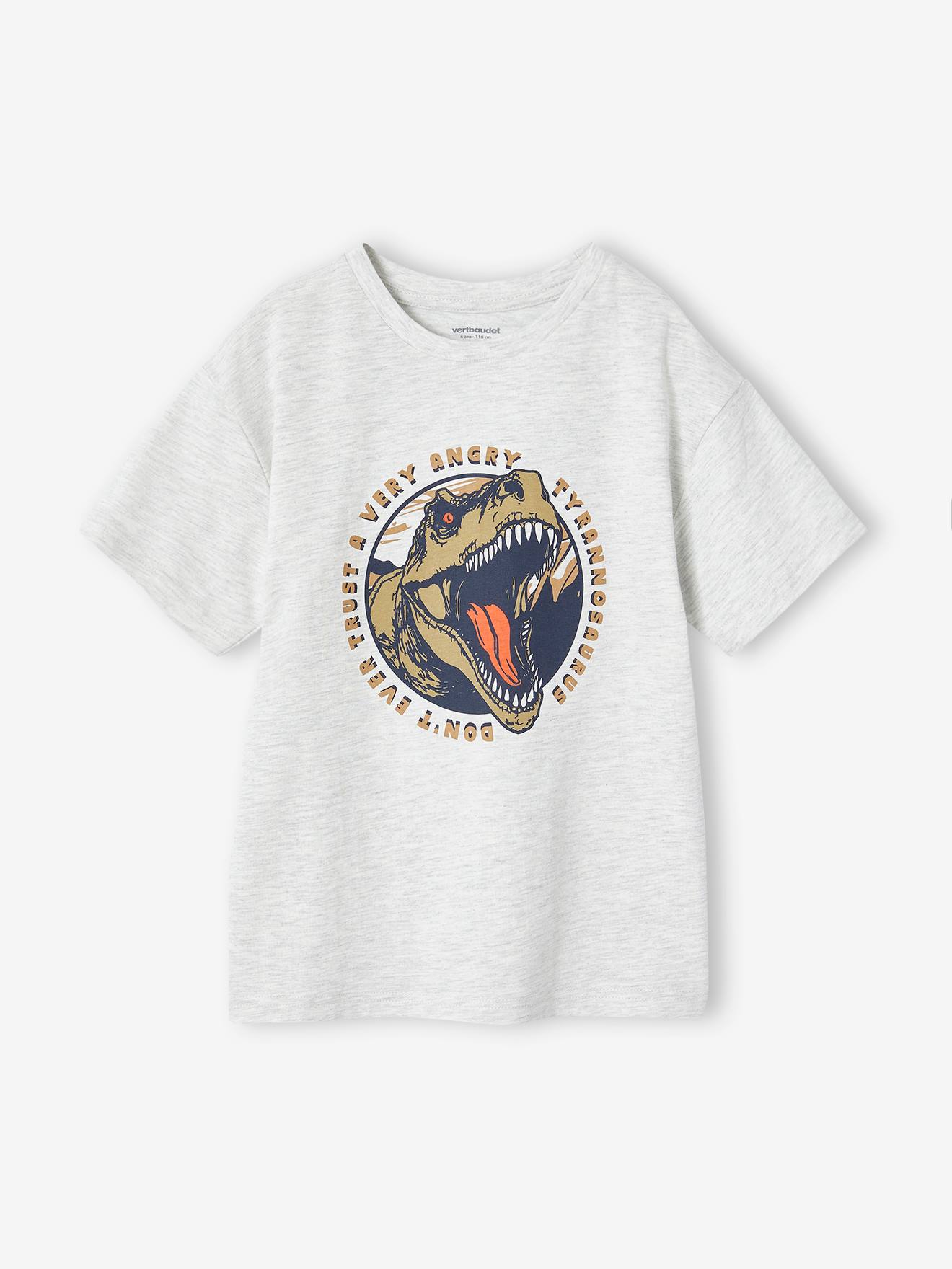 T-shirt motif dino garçon blanc chiné