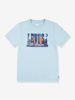 -T-shirt Desert at Dusk LEVI'S®