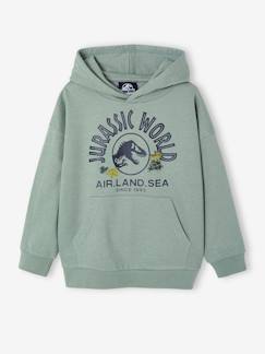 -Sweat à capuche Jurassic World®