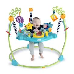 Jouet-BABY EINSTEIN Ocean Explorers Curiosity Cove aire d'éveil éducative 2 en 1 et jouet au sol, poids maximum 11kg, dès 6 mois