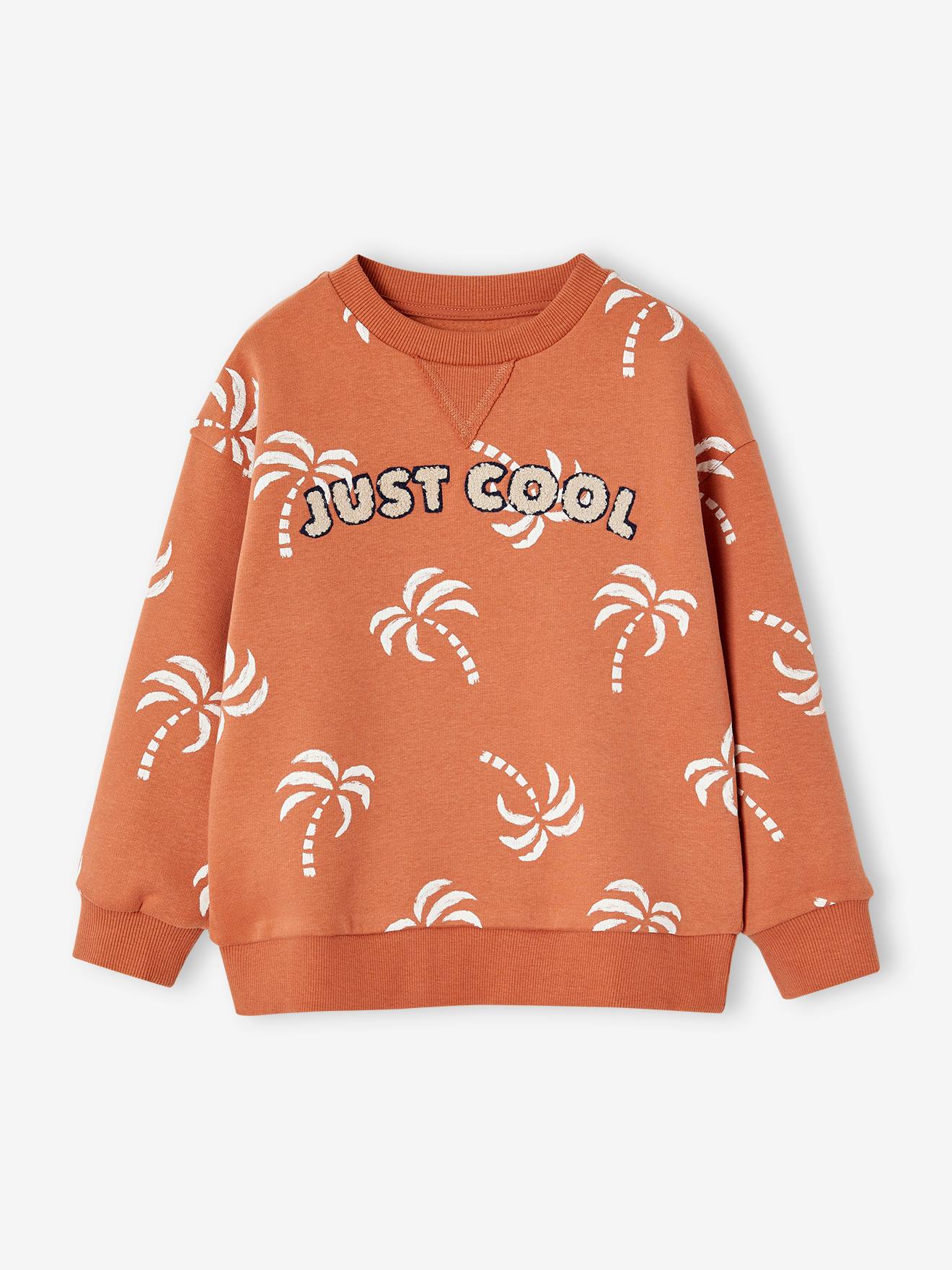 Sweat détail fantaisie garçon tomette