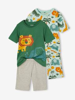 -Lot de 2 pyjashorts garçon savane