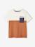 T-shirt garçon coloblock manches courtes ardoise+menthe+orange+vert anglais 17 - vertbaudet enfant 