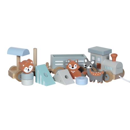 Petit train rayé animaux du zoo Bleu pétrole+Gris foncé 11 - vertbaudet enfant 