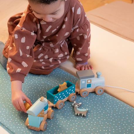 Petit train rayé animaux du zoo Bleu pétrole+Gris foncé 2 - vertbaudet enfant 