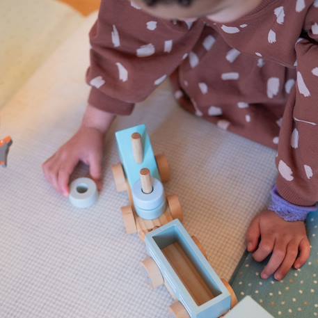 Petit train rayé animaux du zoo Bleu pétrole+Gris foncé 9 - vertbaudet enfant 