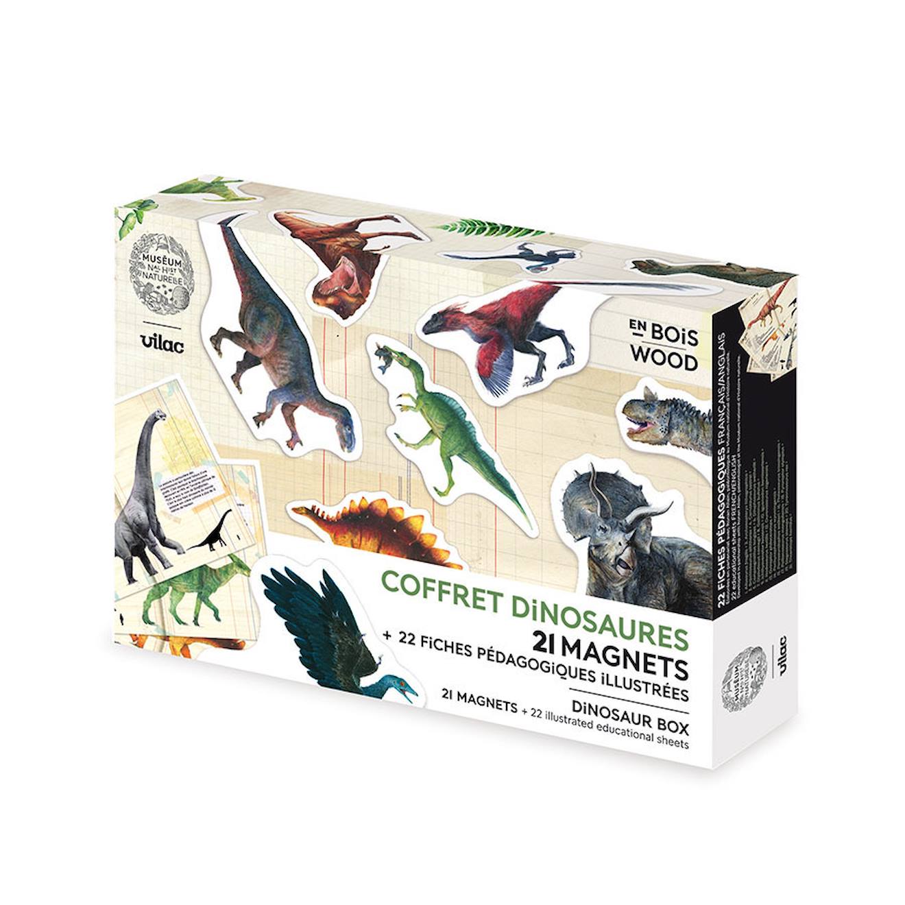 Vilac Coffret de 21 Magnets Dinosaures Beige
