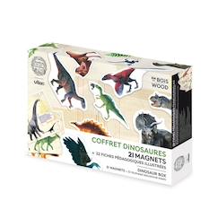 Jouet-Coffret de 21 magnets dinosaures