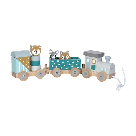 Petit train rayé animaux du zoo Bleu pétrole+Gris foncé 1 - vertbaudet enfant 