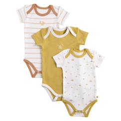 -Bodies bébé manches courtes en coton lot de 3 - botanica