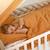 Housse de couette en gaze de coton jeanne Beige+Blanc+Blanc à pois or+Bleu+Camel+Écru+Gris clair+Rose+Terracotta+Vert de gris 22 - vertbaudet enfant 