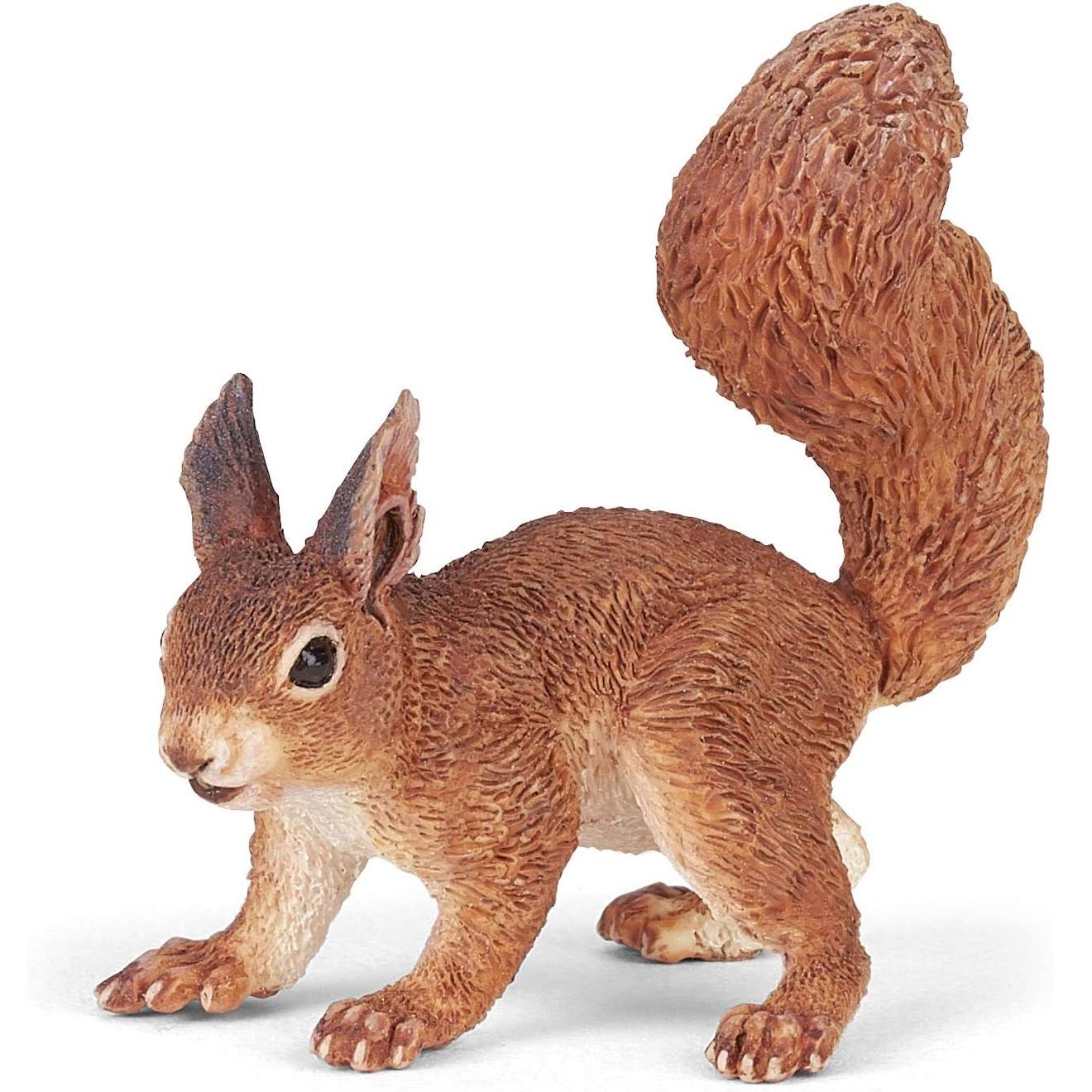 Ecureuil Marron