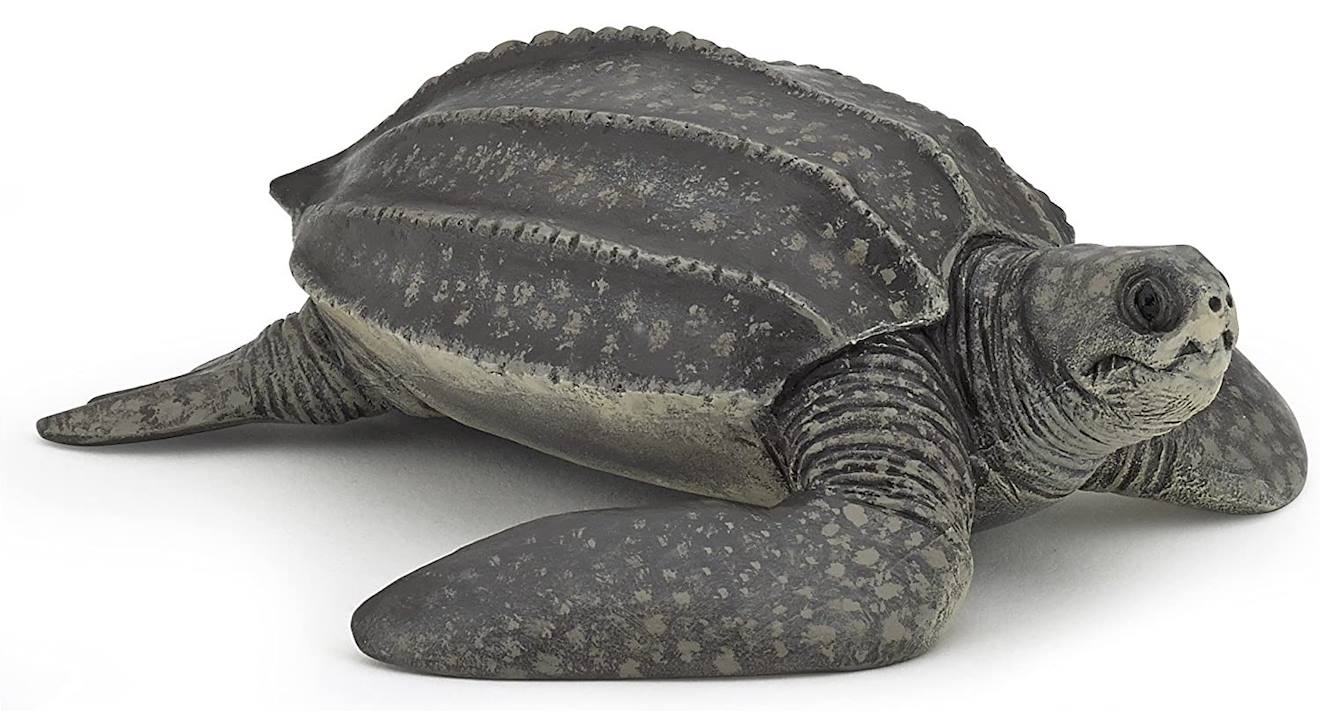 Papo - Figurine Tortue Luth Gris