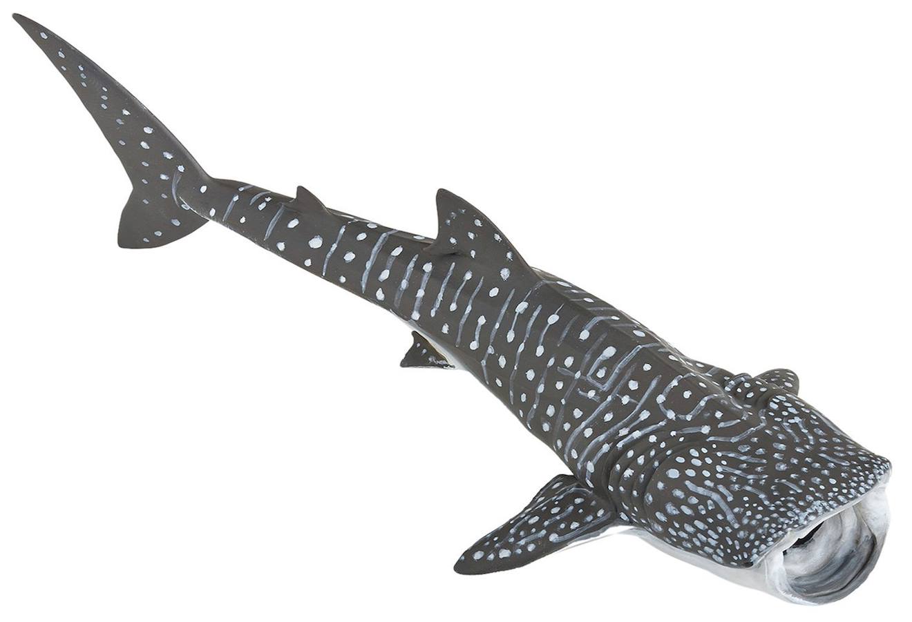 Papo - Figurine Requin Baleine Gris