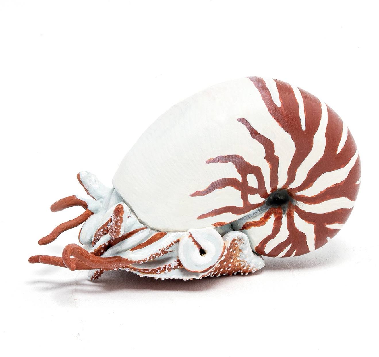Papo - Figurine Nautile Marron