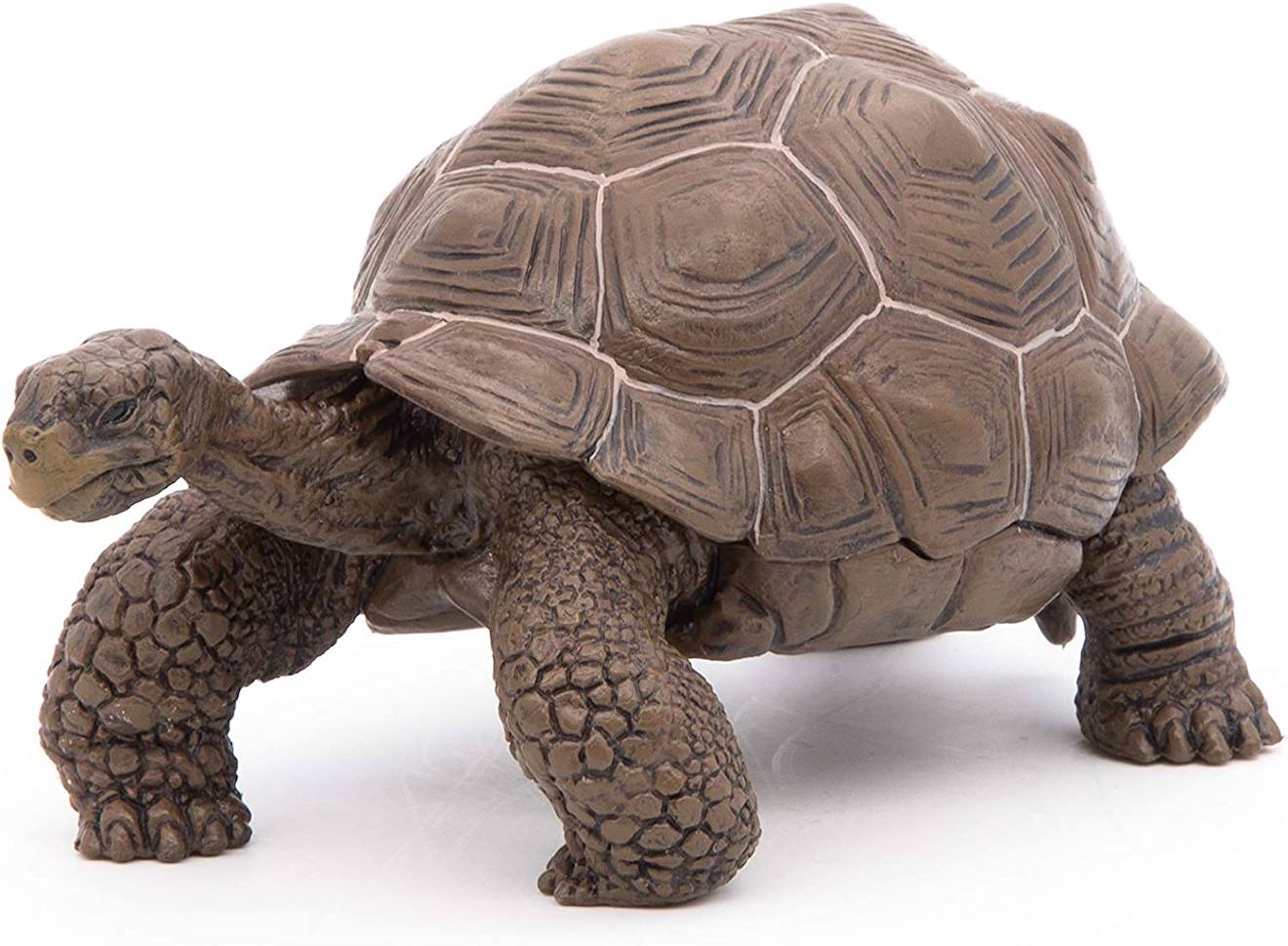 Figurine Tortue Des Galapagos Marron