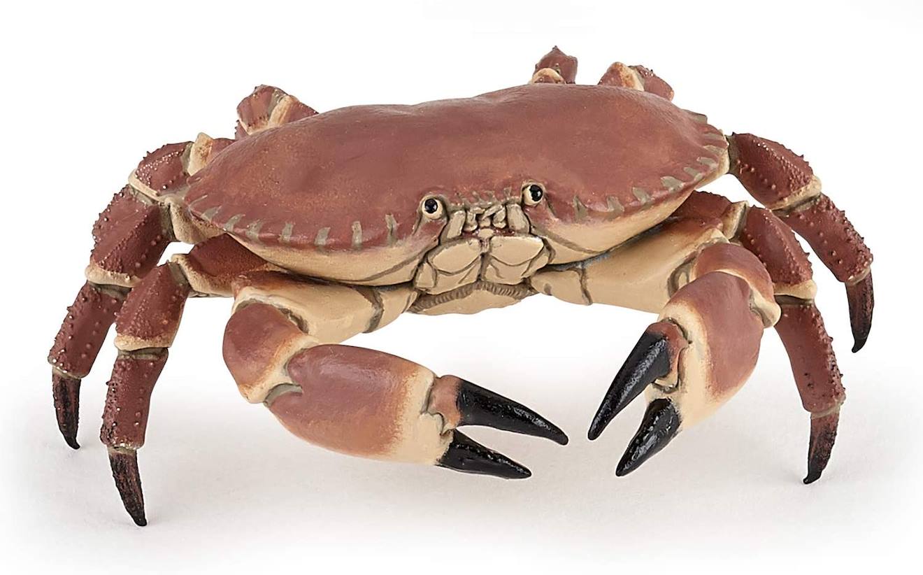 Papo - Figurine Crabe Marron