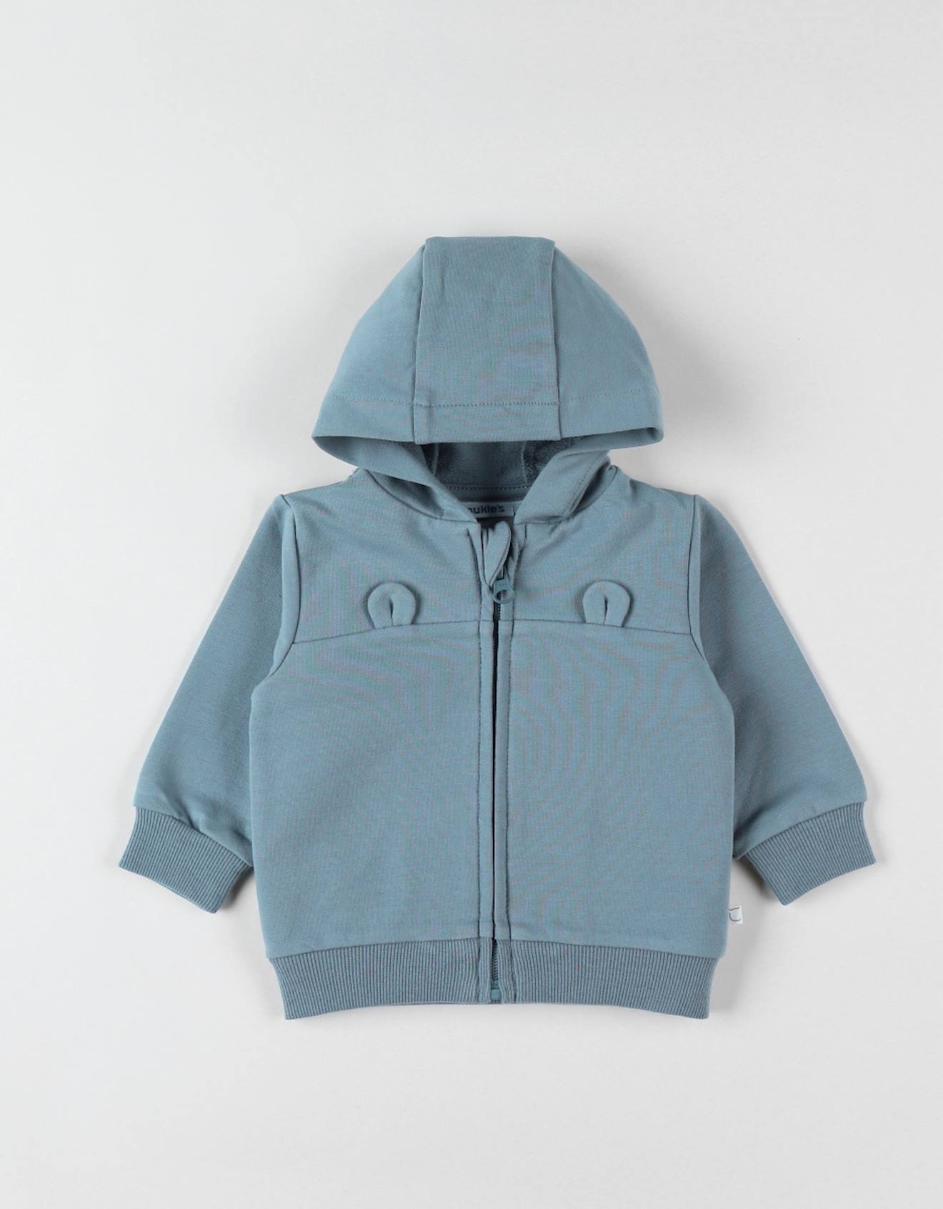 Veste Sweat À Capuche Bleu