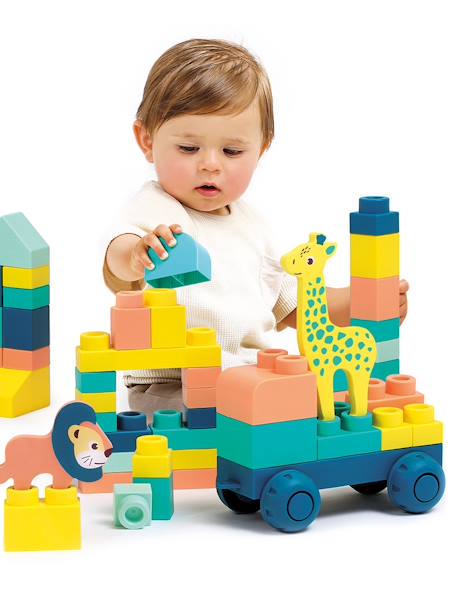 Ludi - Briqui, mes 1eres constructions multicolore