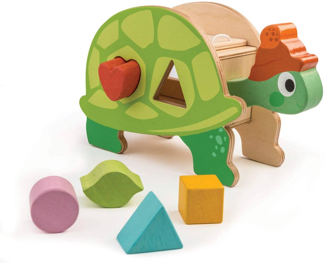 Boîte À Formes Tortue Vert