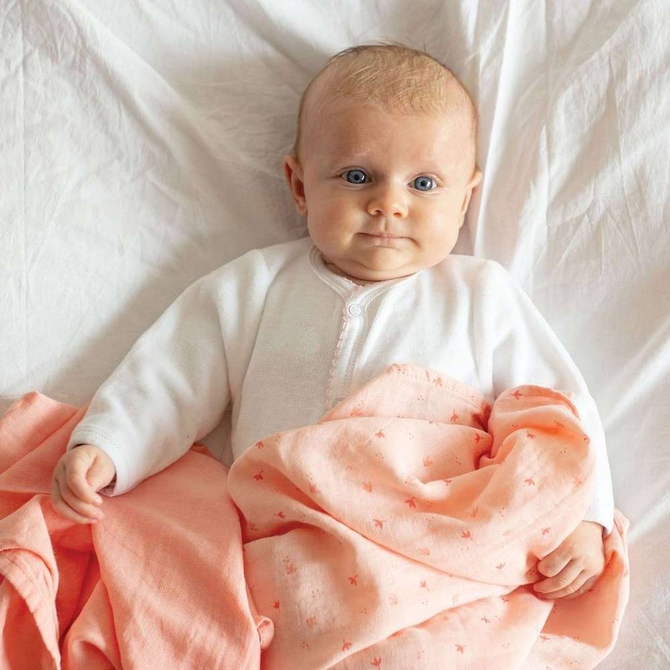 Lot De 2 Langes Rose (Trois Kilos Sept) - Image 2