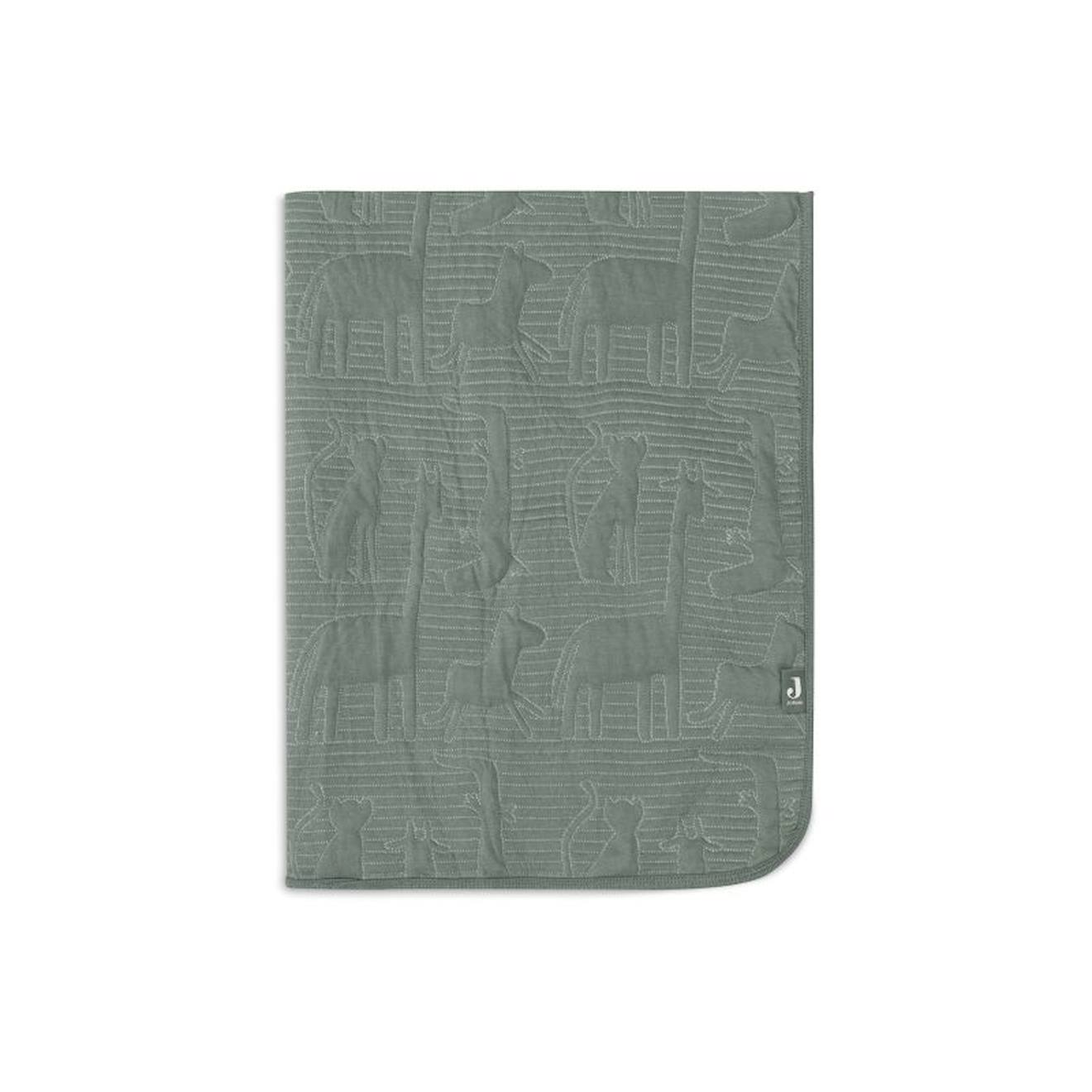 Couverture En Coton Vert Poudré