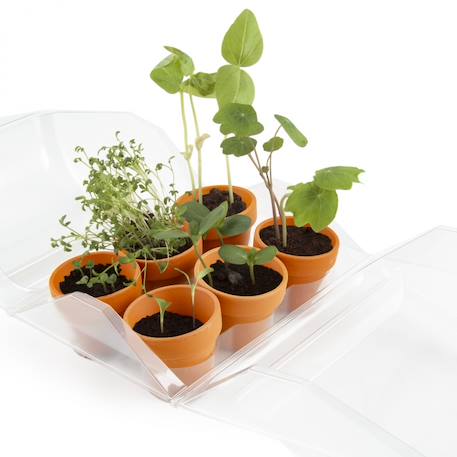 Mini-serre mon premier jardin Vert 2 - vertbaudet enfant 
