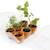 Mini-serre mon premier jardin Vert 2 - vertbaudet enfant 