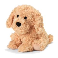 Jouet-Premier âge-Peluche bouillotte chien bouclé
