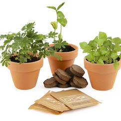 Jouet-Jeux de plein air-Jeux de plage-Tentes anti UV-Trio de plantes magiques