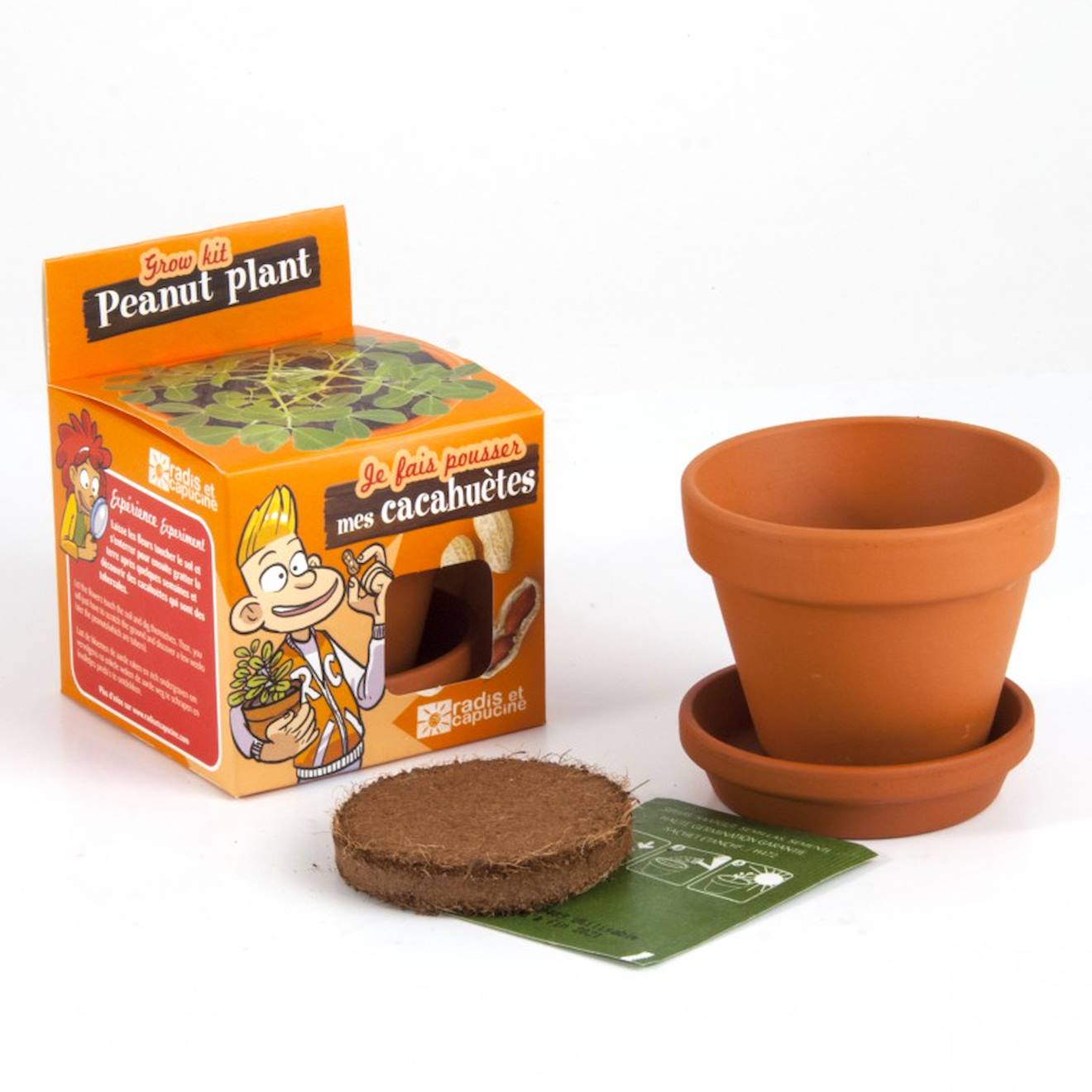 Je Fais Pousser Mes Cacahuètes Marron