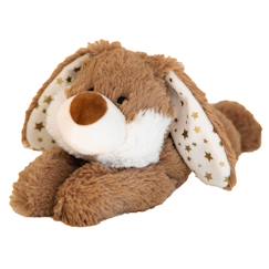 Jouet-Premier âge-Peluche bouillotte lapin étoile