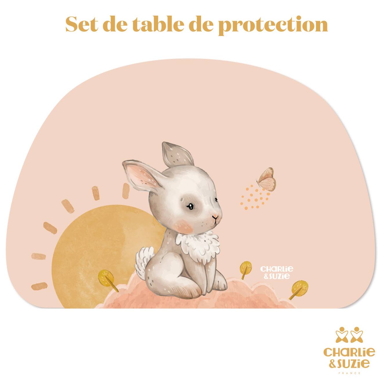 Set De Table Lapin Multicolore