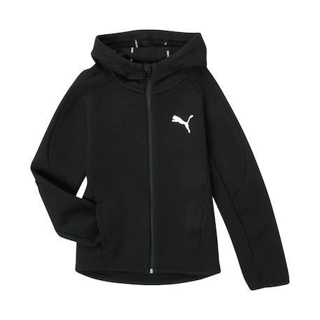 Garçon-Manteau, veste-Veste-Veste capuche zip    evostripe hoodie