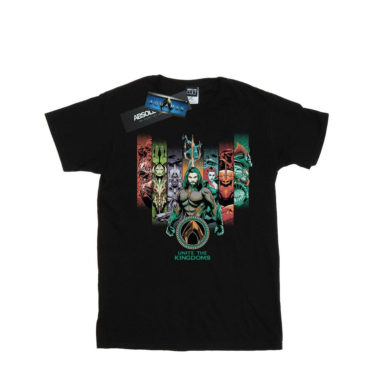 T-shirt Coton Dc Comics Unite The Kingdoms Noir
