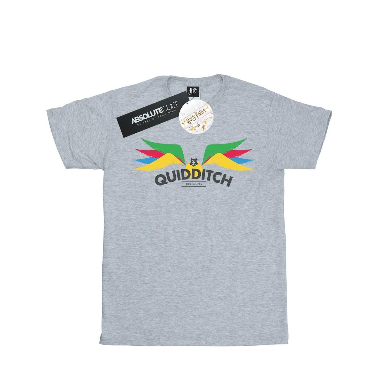 T-shirt Snitch Coton Harry Potter Gris Chiné