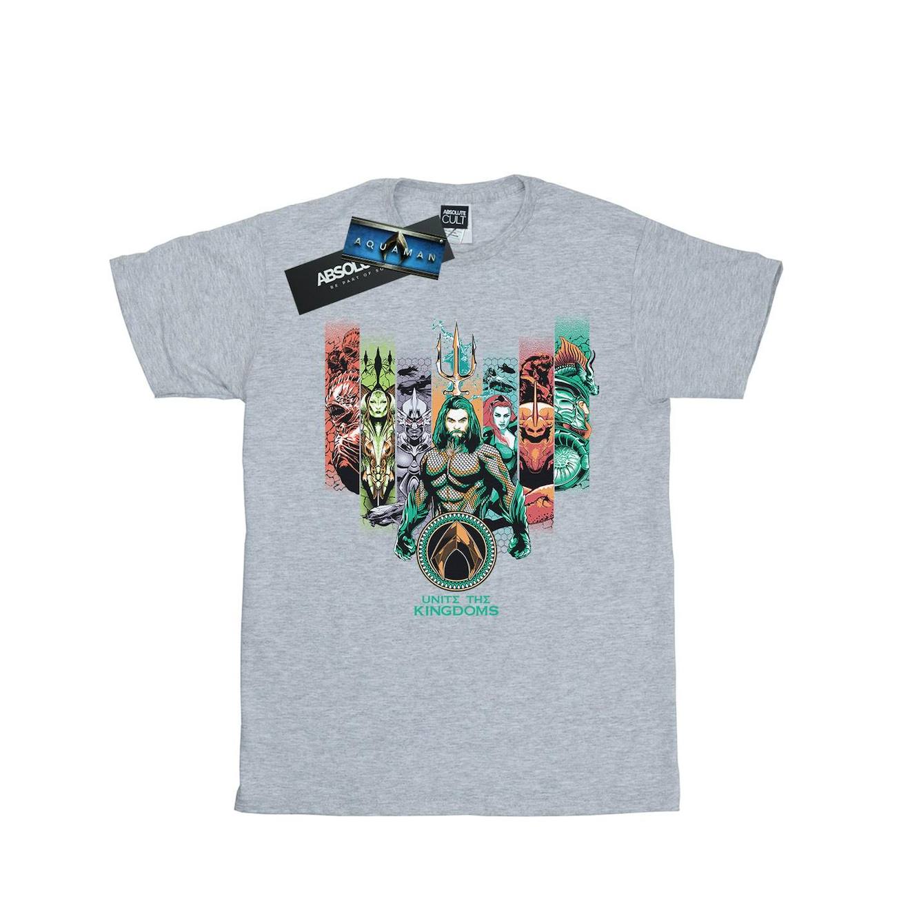 T-shirt Coton Dc Comics Unite The Kingdoms Gris Chiné