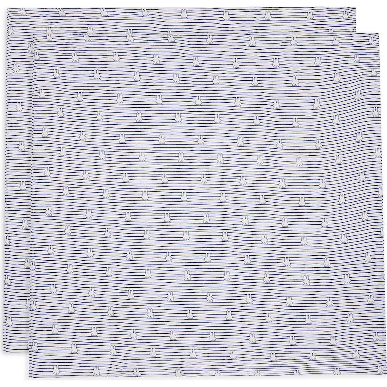 Lot De 2 Maxi-langes En Coton Bleu, Blanc